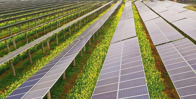 asiagame(�й���)�ٷ���վ